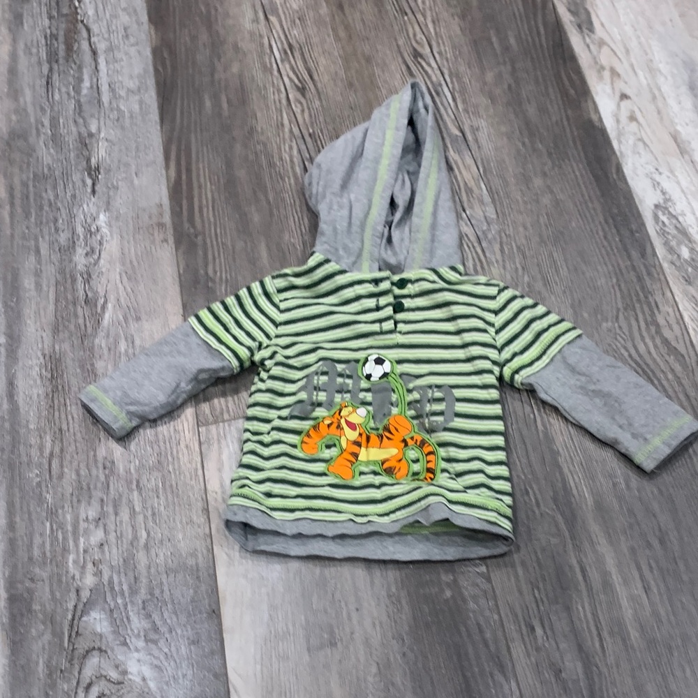 Disney Striped Green and Gray Kids Hoodie with Tiger Design